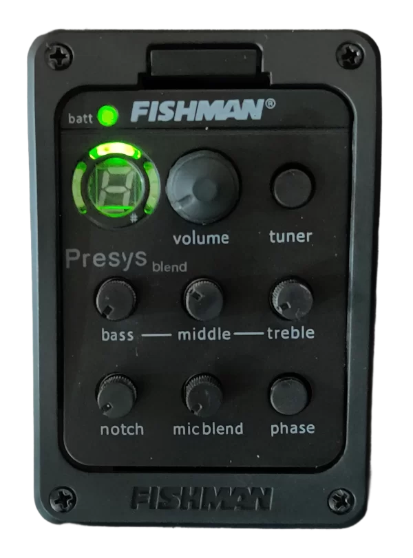 Fishman Equaliser guitar