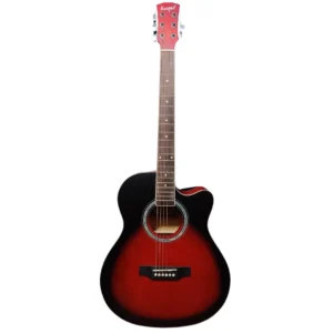 Crusader Semi Acoustic Standard Guitar 40 -Inch - instrumentsgallery
