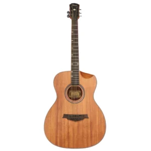 Chard Premium Electro Acoustic Standard Guitar